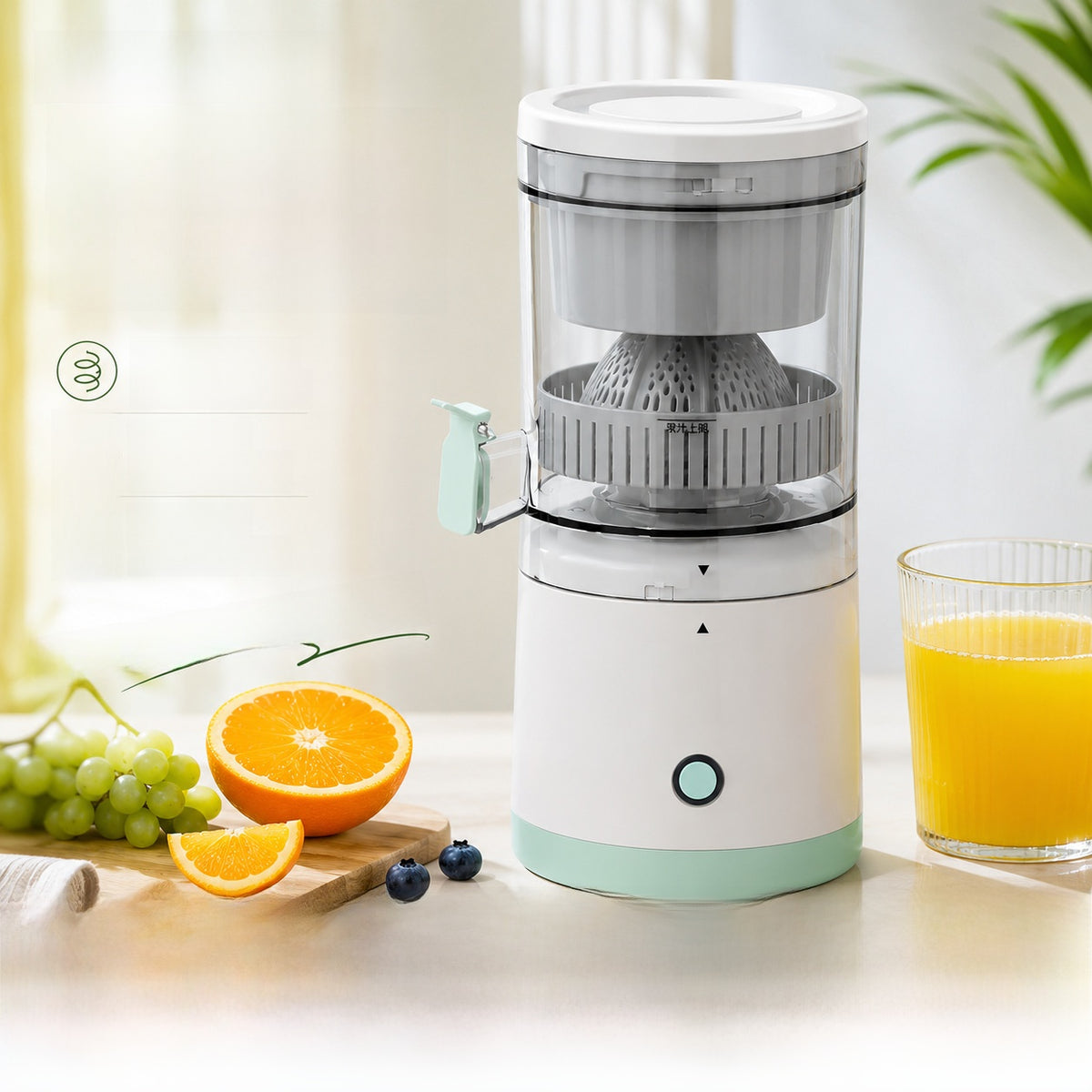 Multifunctional Electric Juicer
